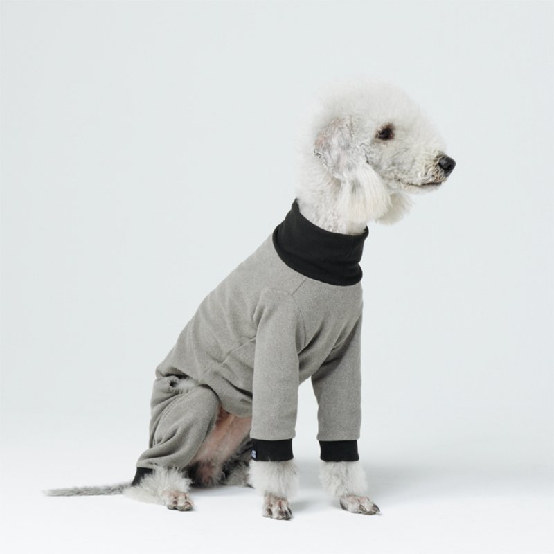 Cozy Warm Bedlington Dog Onesies