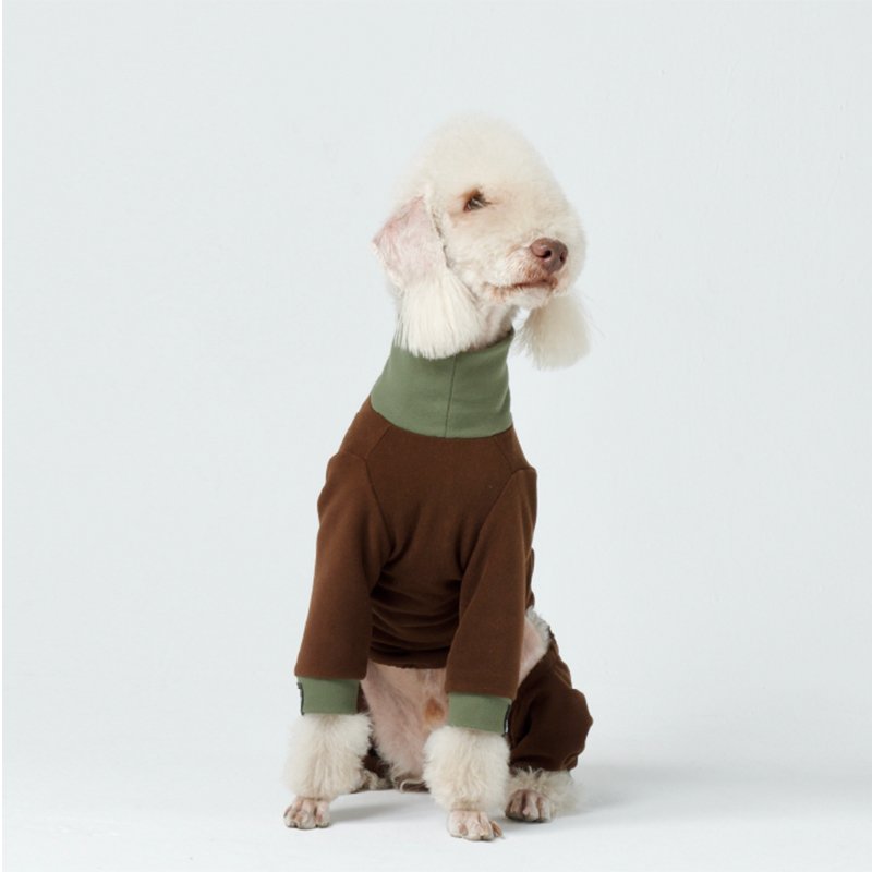 Cozy Warm Bedlington Dog Onesies