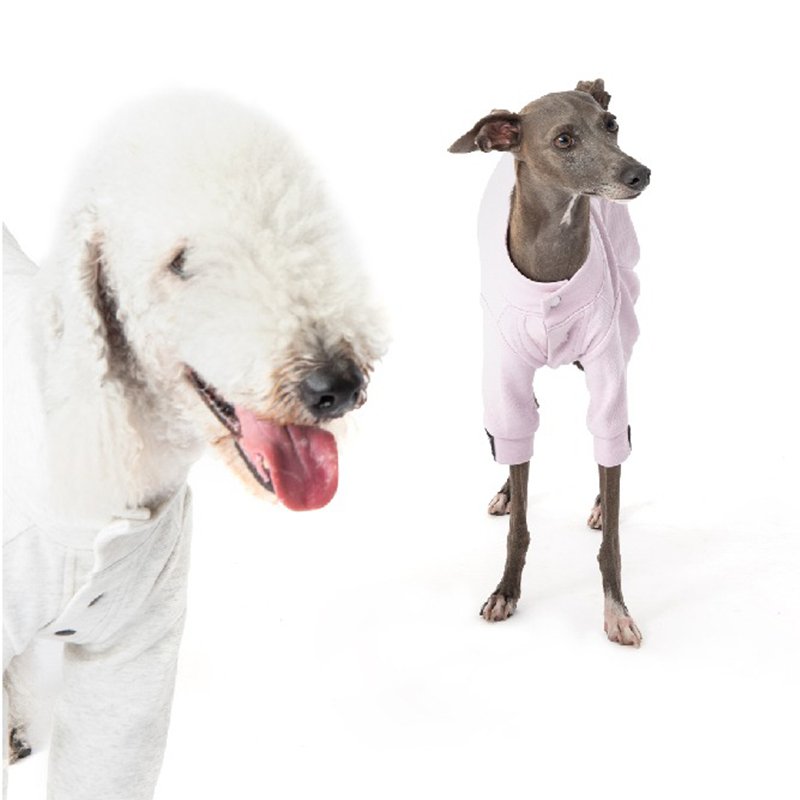 Warm Cotton Bedlington Dog Jumpsuit