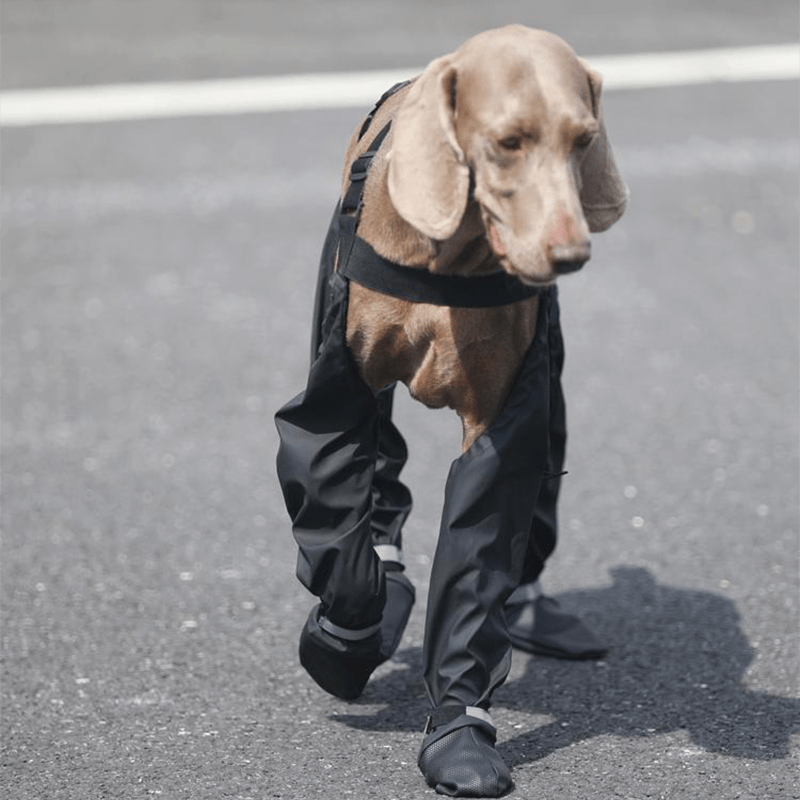 Waterproof Big Dog Boots Outdoor Gear
