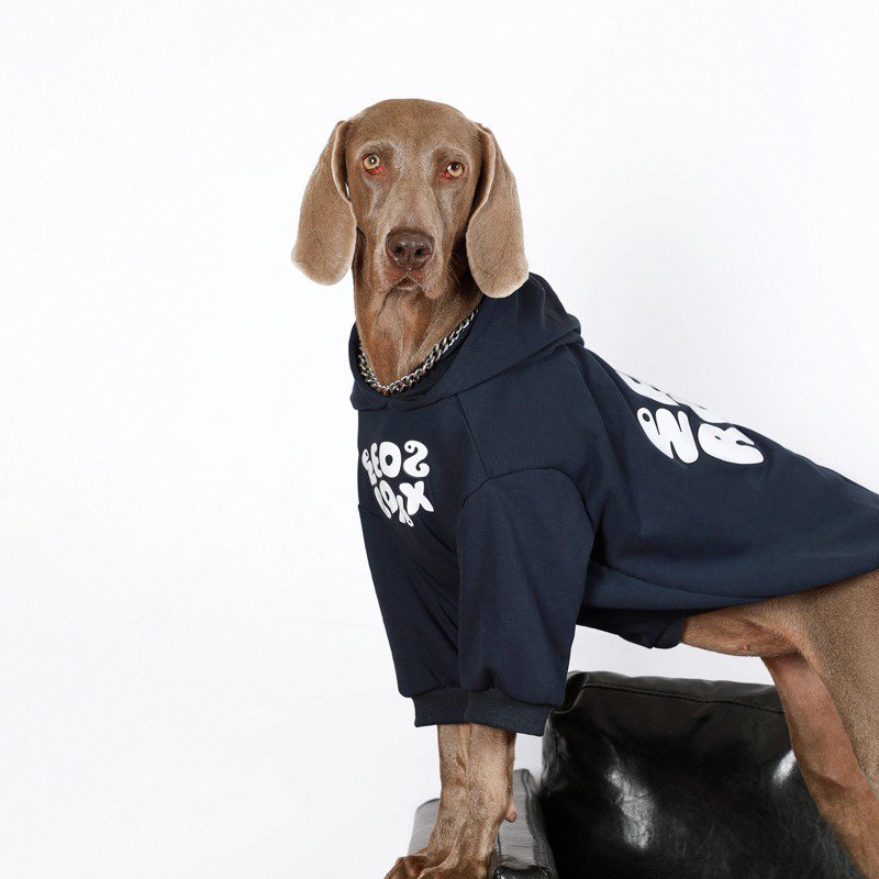 Warm Big Dog Casual Hoodie