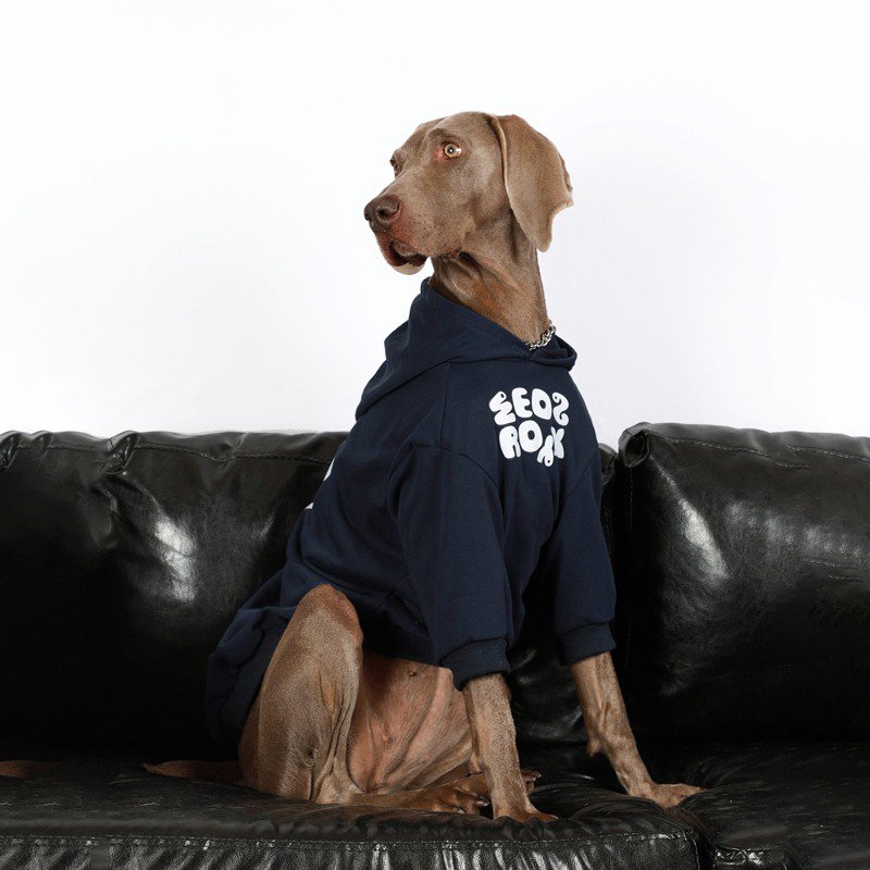 Warm Big Dog Casual Hoodie
