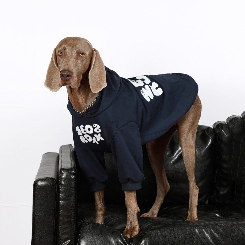 Warm Big Dog Casual Hoodie