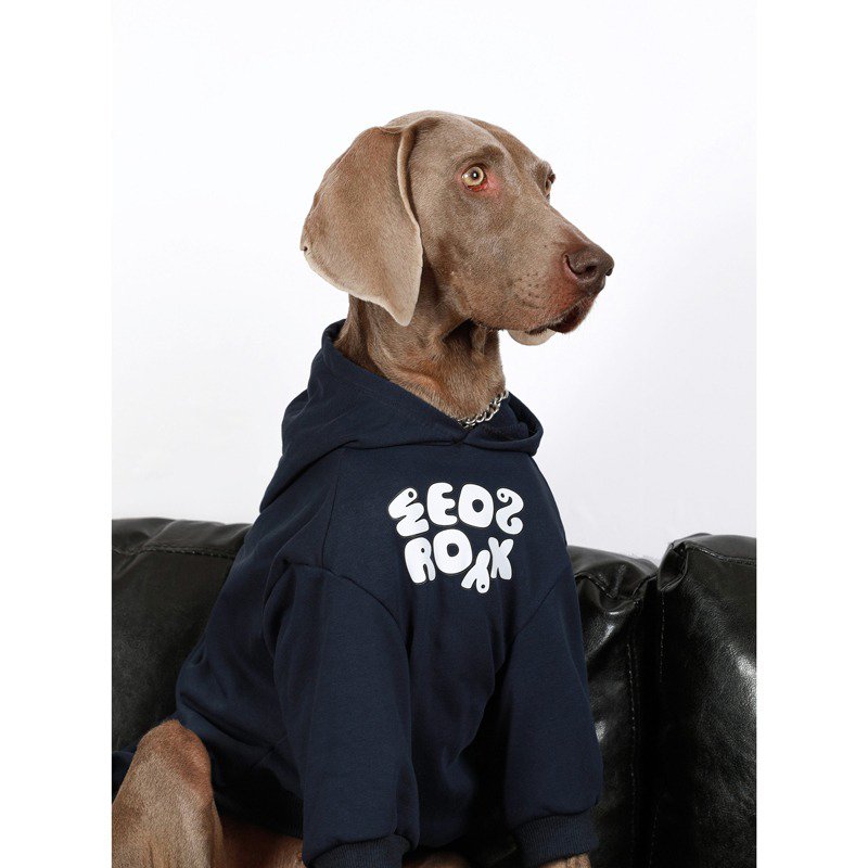 Warm Big Dog Casual Hoodie