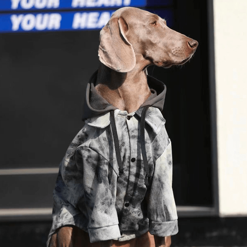 Trendy Big Dog Hoodie Jacket