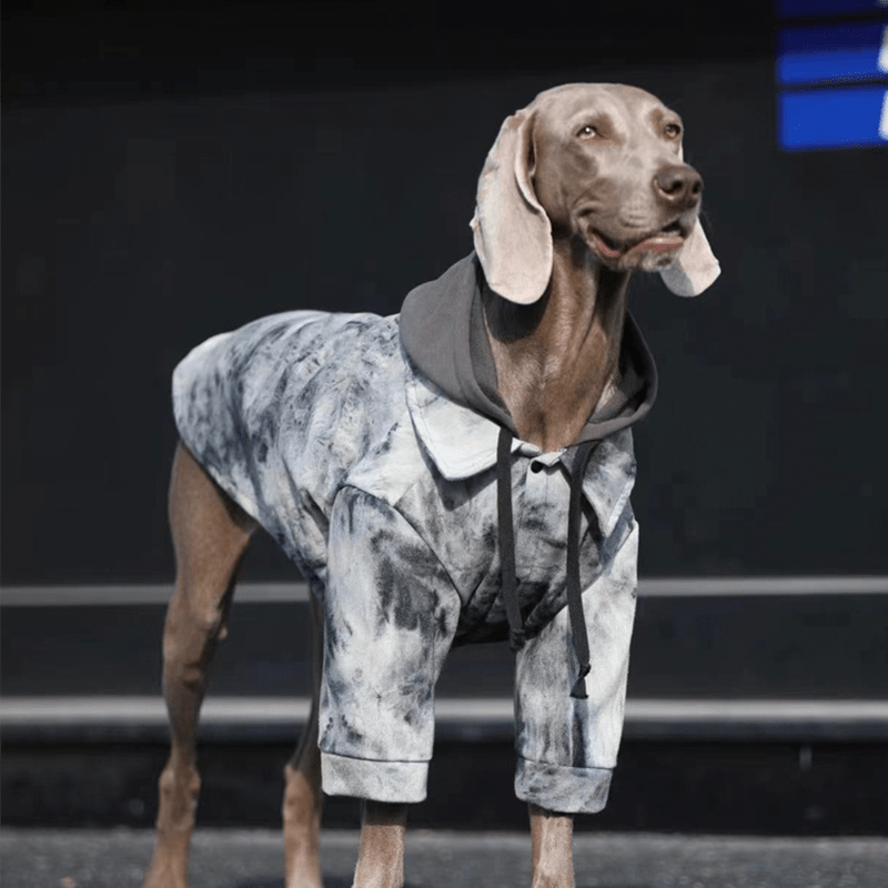Trendy Big Dog Hoodie Jacket
