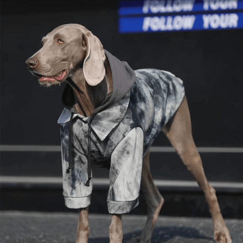 Trendy Big Dog Hoodie Jacket