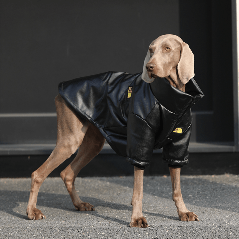 Waterproof Big Dog Fleece Jacket