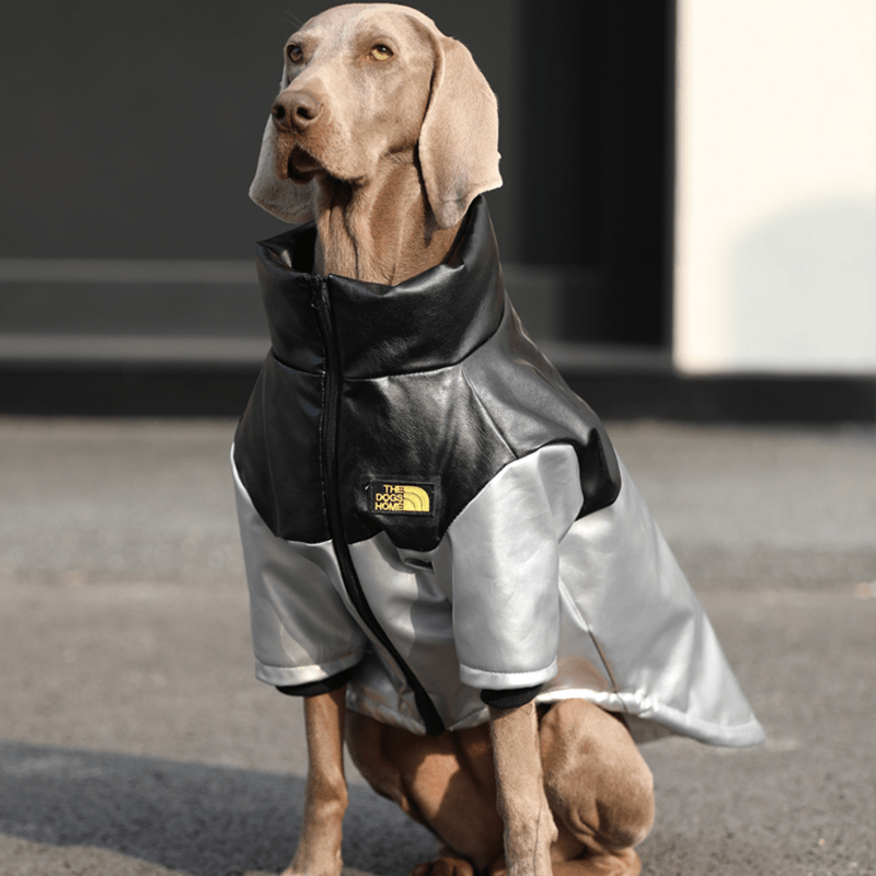 Waterproof Big Dog Fleece Jacket