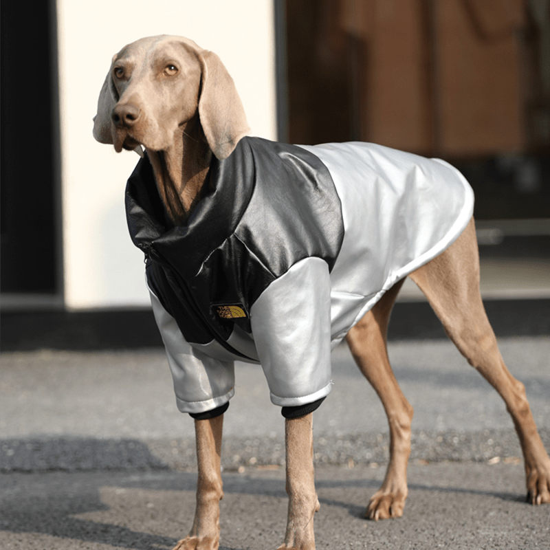 Waterproof Big Dog Fleece Jacket