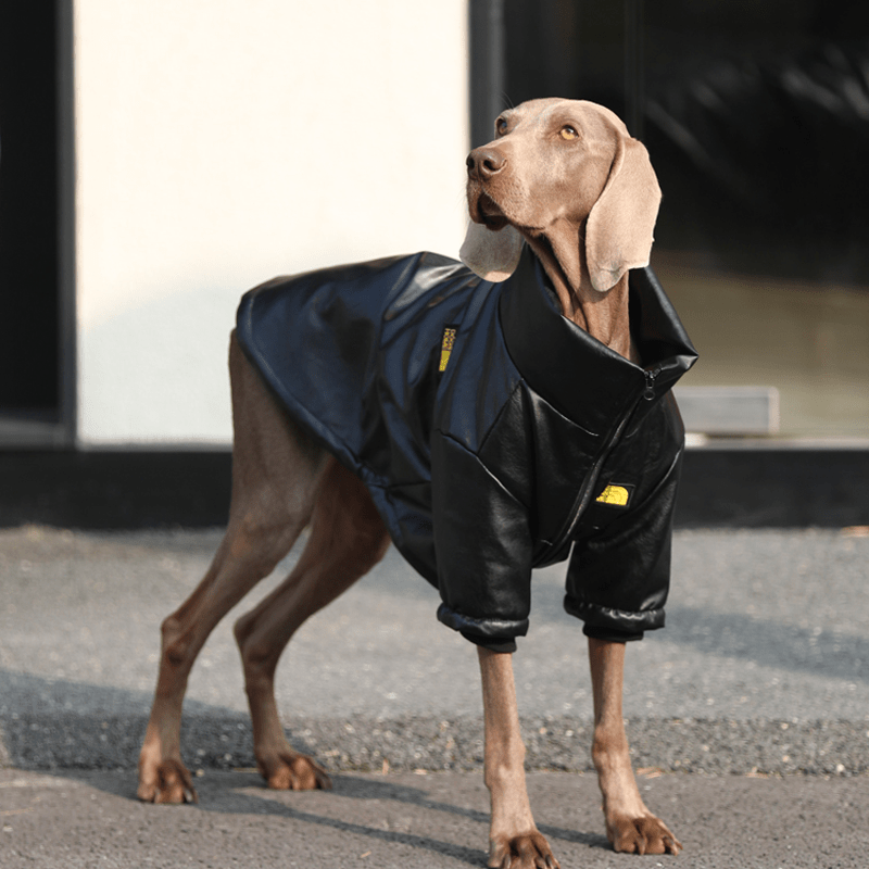 Waterproof Big Dog Fleece Jacket