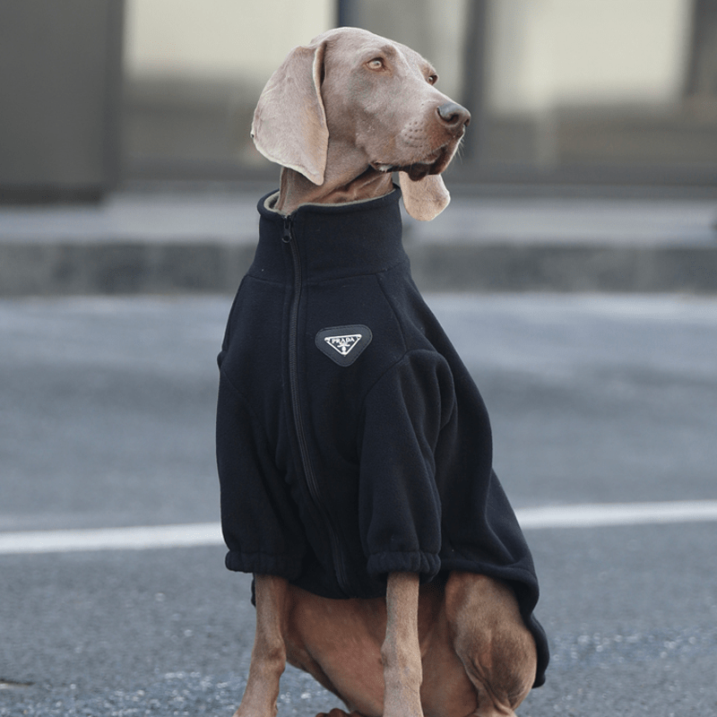 Soft Fleece Big Dog Zip Jacket