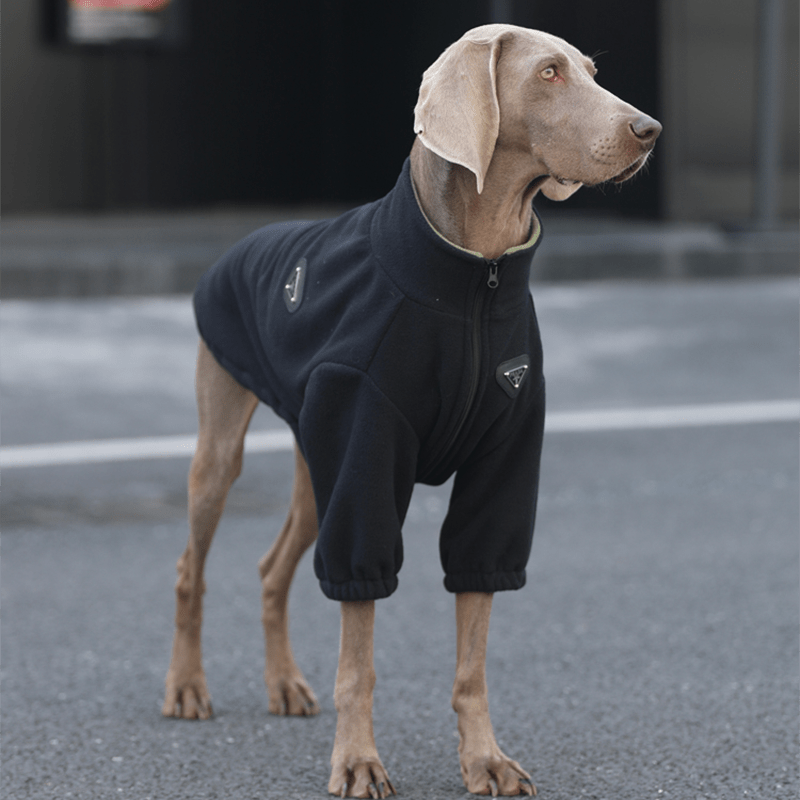 Soft Fleece Big Dog Zip Jacket