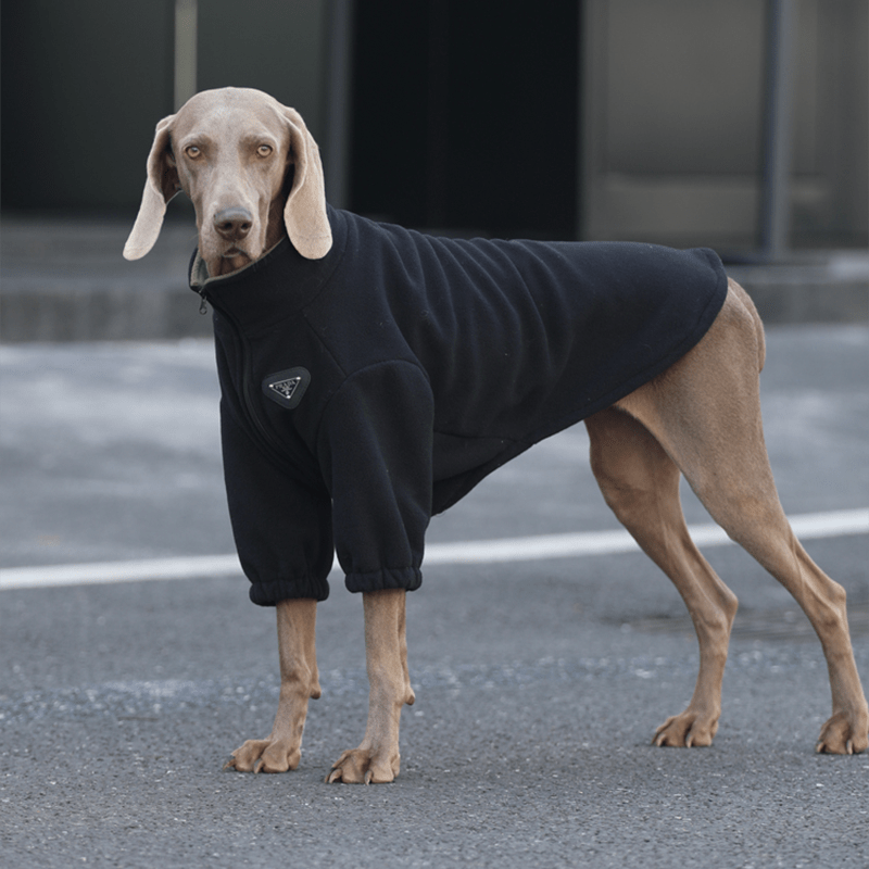 Soft Fleece Big Dog Zip Jacket
