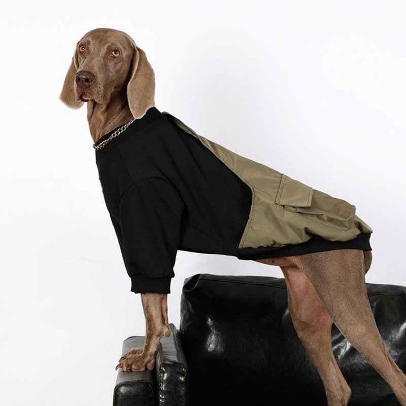 Stylish Comfort Big Dog Sweatshirt