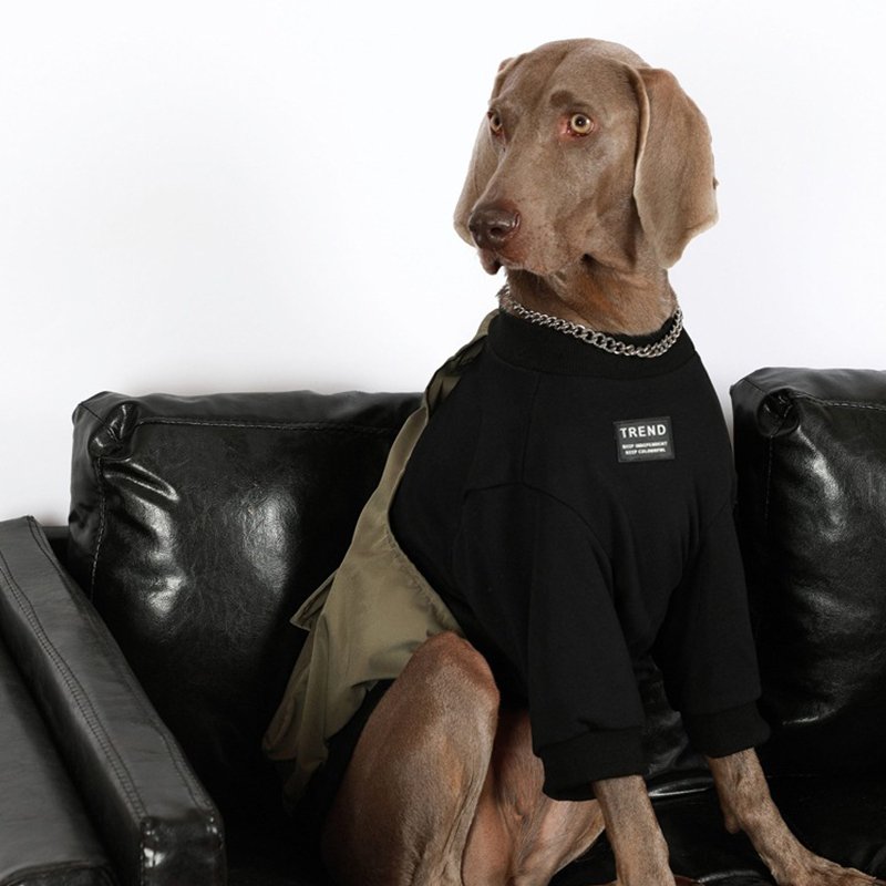Stylish Comfort Big Dog Sweatshirt