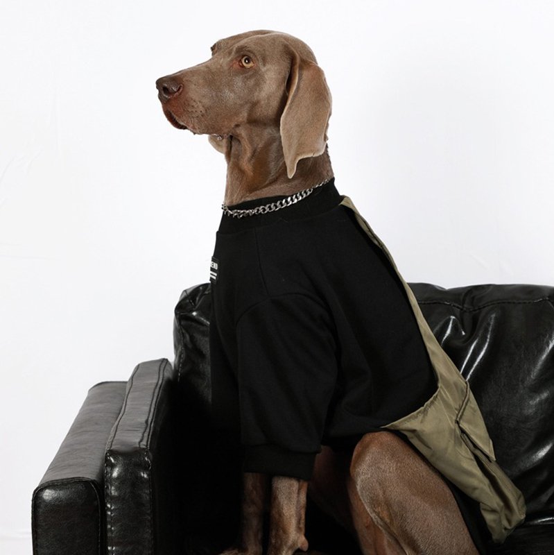 Stylish Comfort Big Dog Sweatshirt