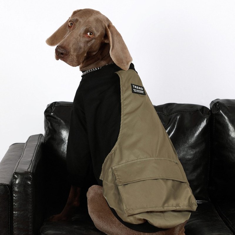 Stylish Comfort Big Dog Sweatshirt