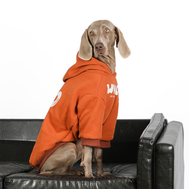 Warm Big Dog Casual Hoodie