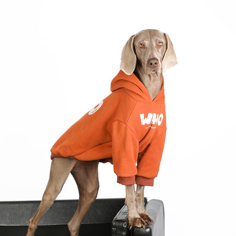 Warm Big Dog Casual Hoodie