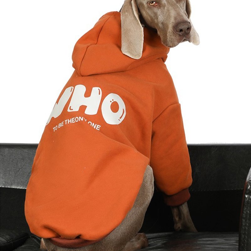 Warm Big Dog Casual Hoodie