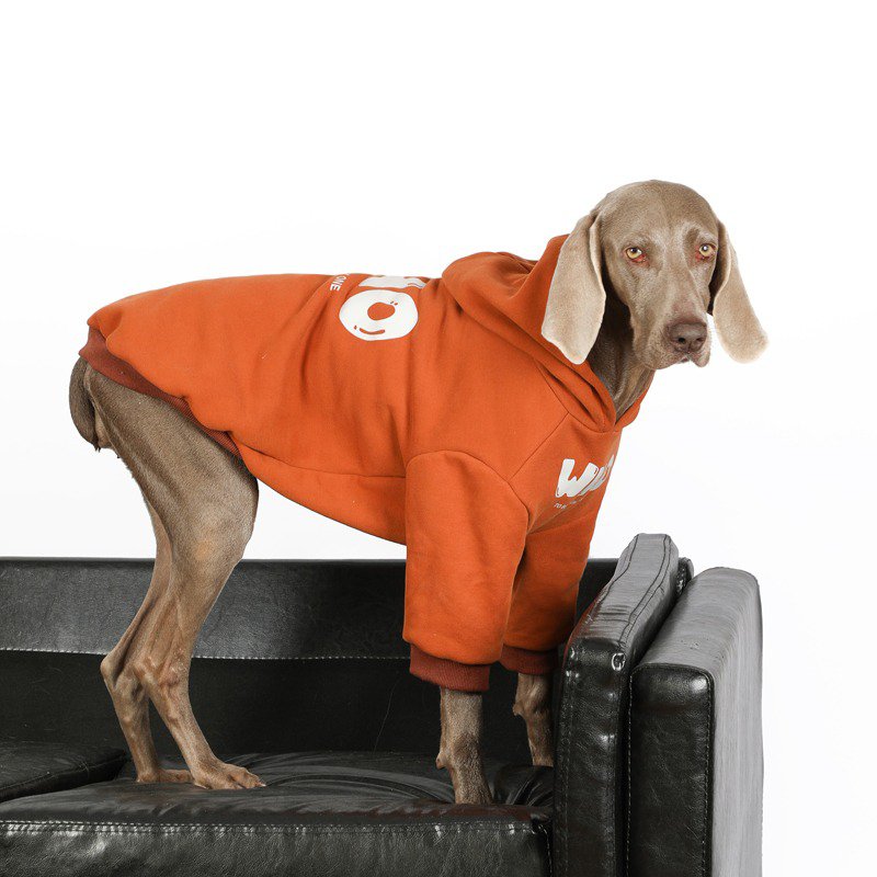 Warm Big Dog Casual Hoodie