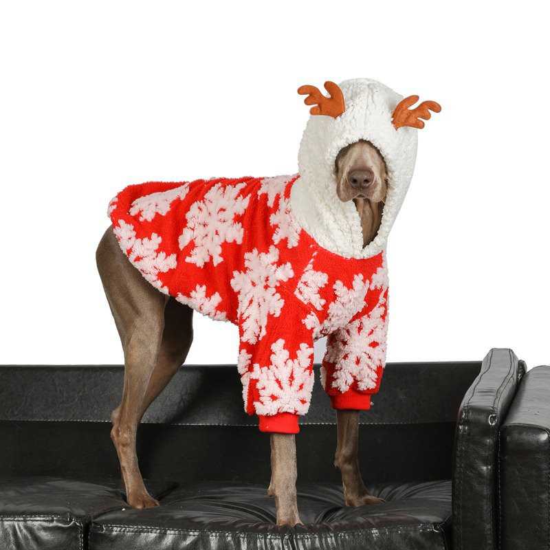 Warm Big Dog Christmas Sweater