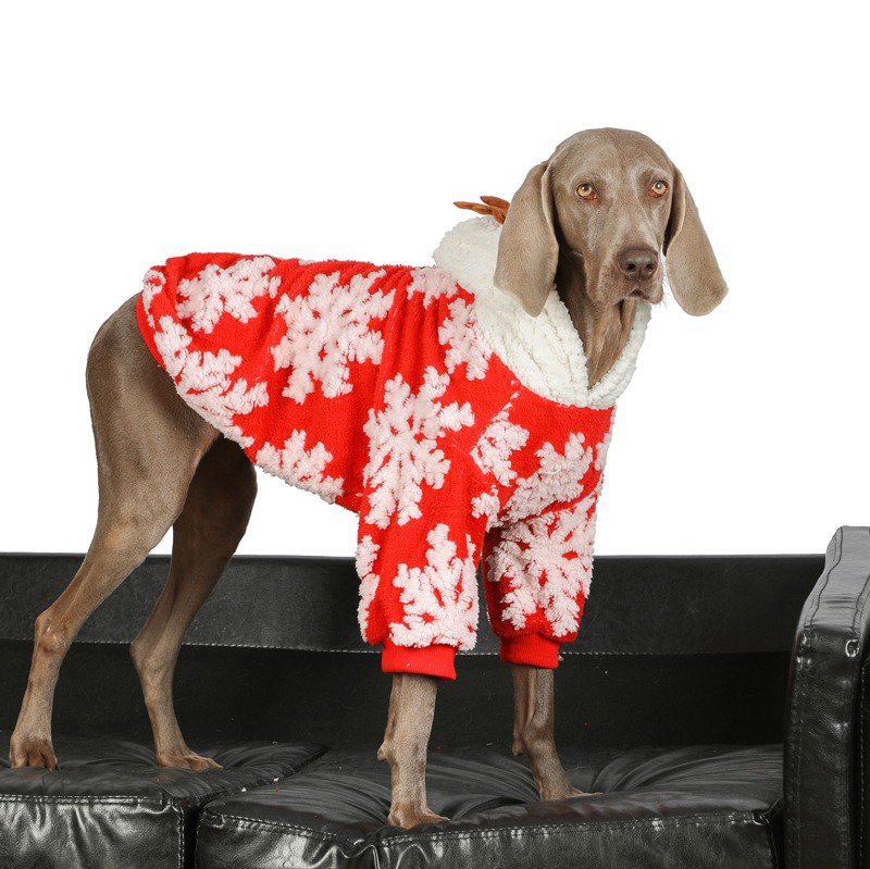 Warm Big Dog Christmas Sweater