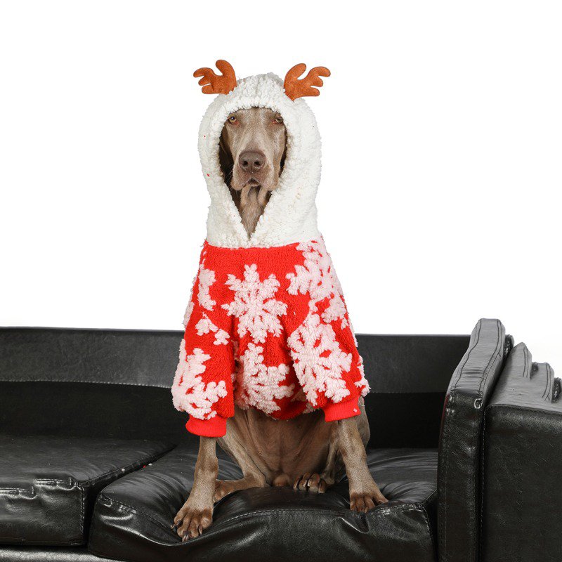 Warm Big Dog Christmas Sweater