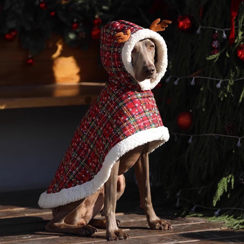 Festive Big Dog Christmas Hoodie Coat