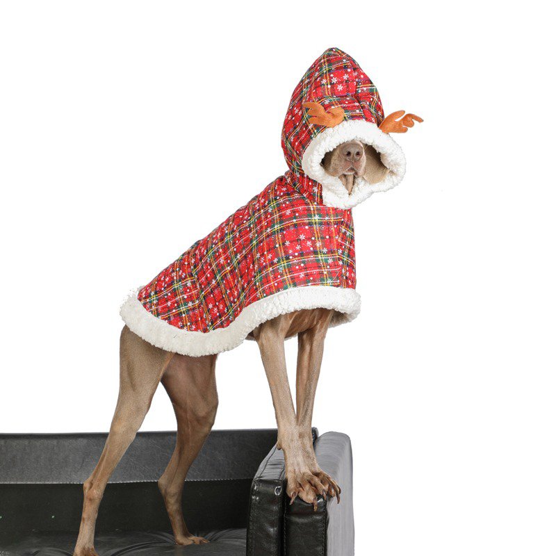 Festive Big Dog Christmas Hoodie Coat
