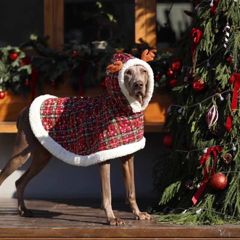 Festive Big Dog Christmas Hoodie Coat