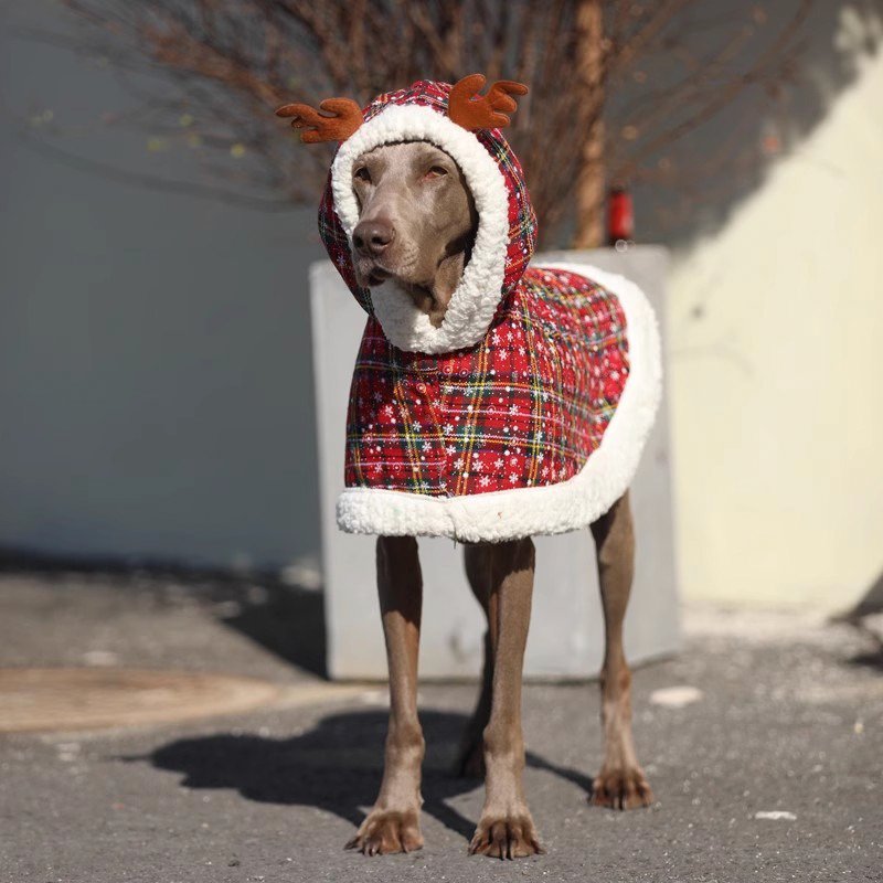 Festive Big Dog Christmas Hoodie Coat