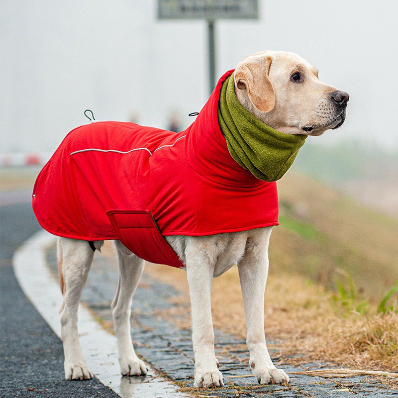 Warm Big Dog Cotton Winter Jacket