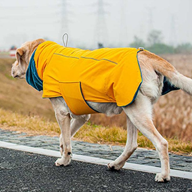 Warm Big Dog Cotton Winter Jacket