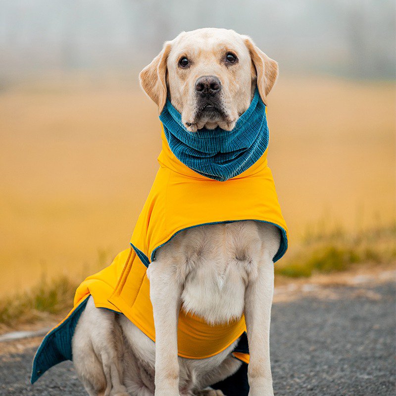 Warm Big Dog Cotton Winter Jacket