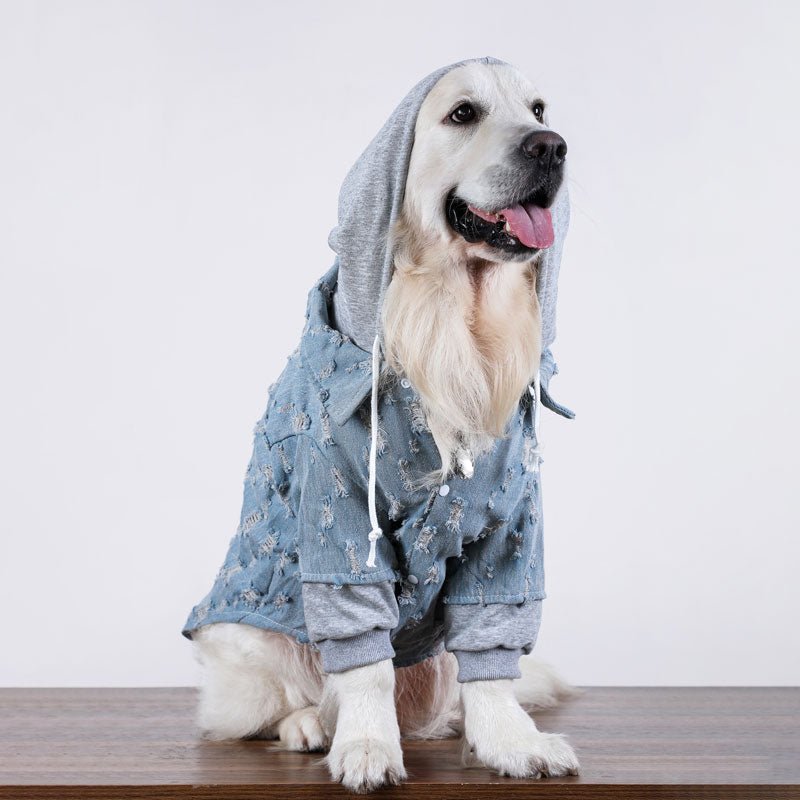 Comfy Denim Big Dog Hoodie