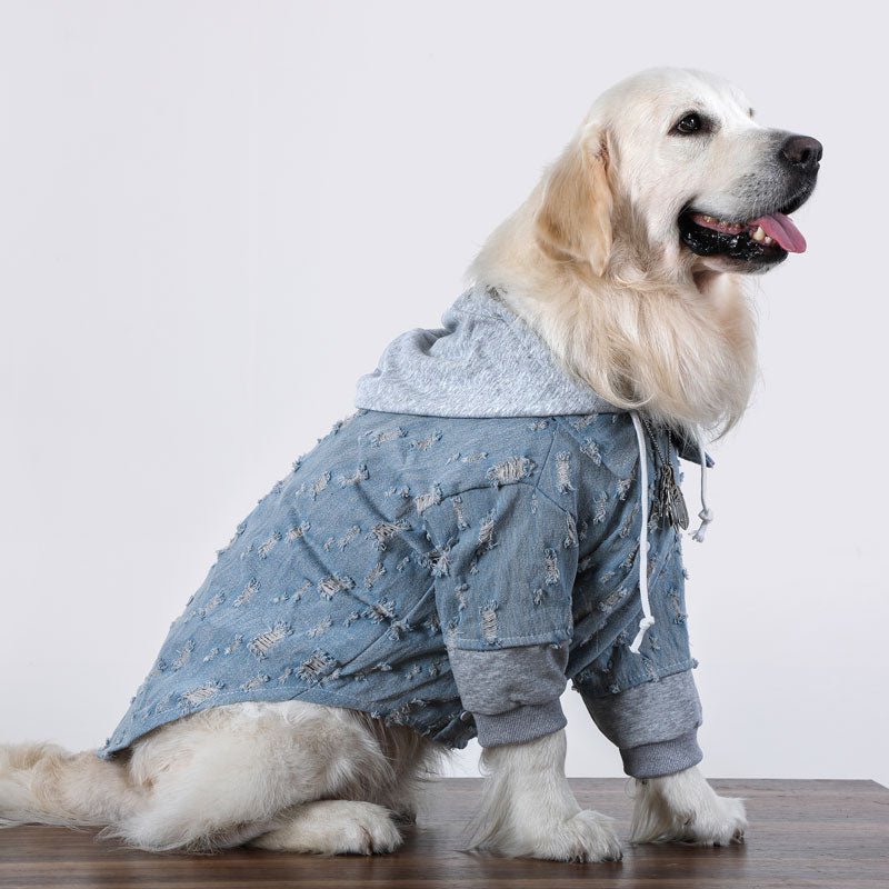 Comfy Denim Big Dog Hoodie