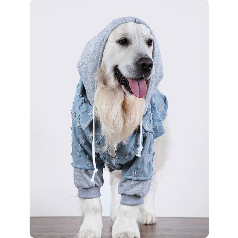 Comfy Denim Big Dog Hoodie