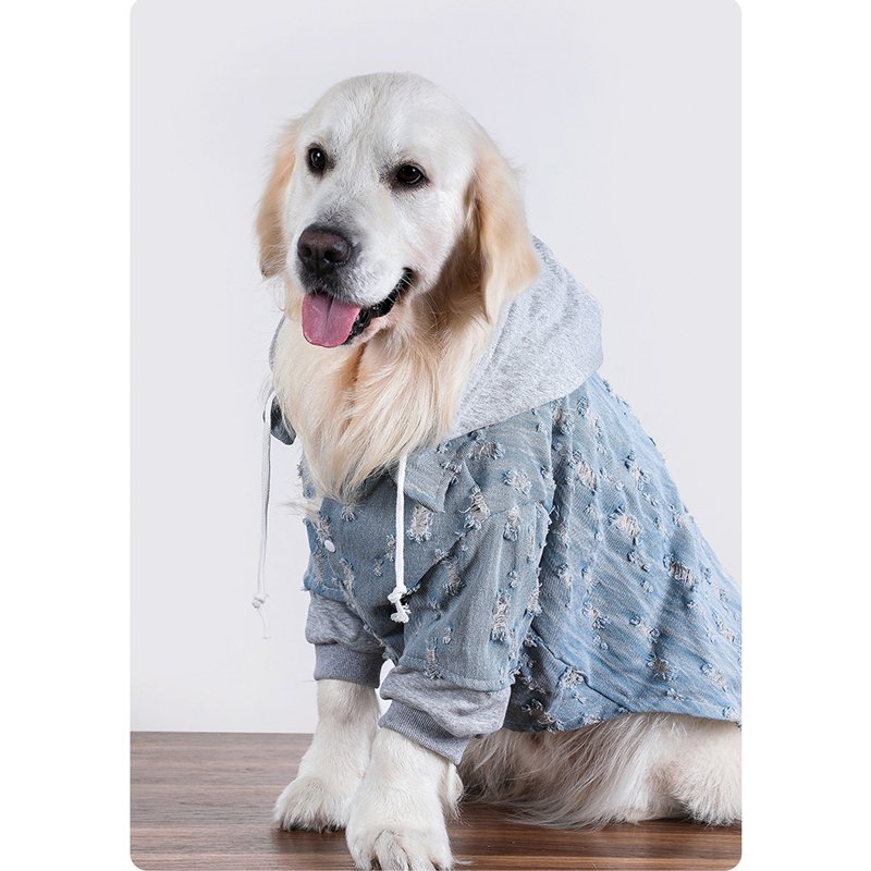 Comfy Denim Big Dog Hoodie
