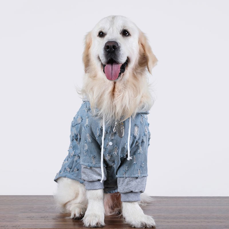 Comfy Denim Big Dog Hoodie
