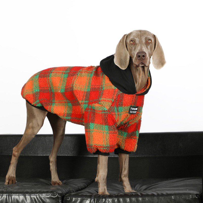 Warm Fleece Big Dog Hoodie