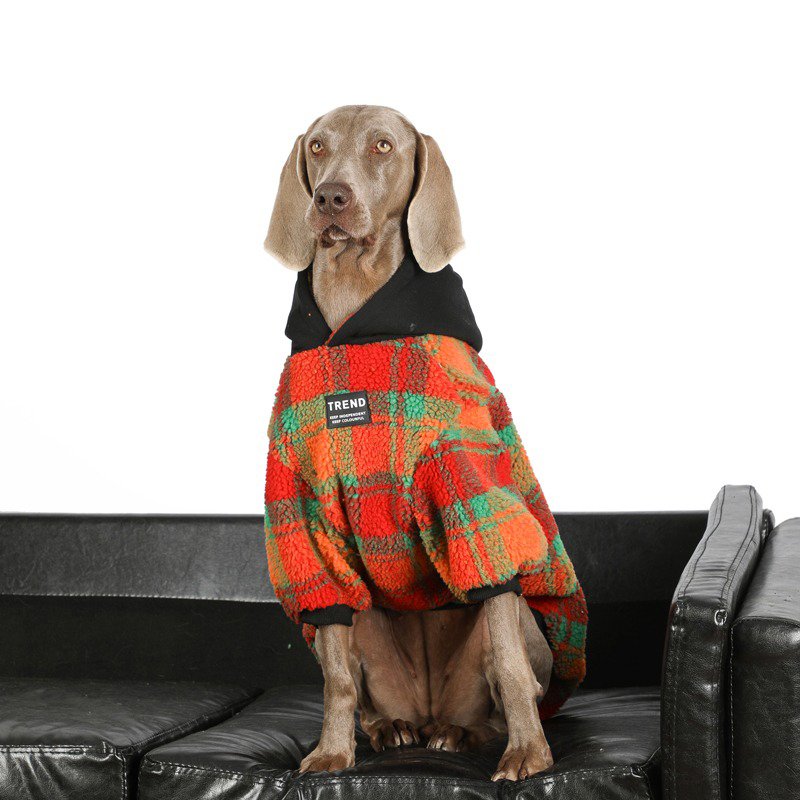 Warm Fleece Big Dog Hoodie