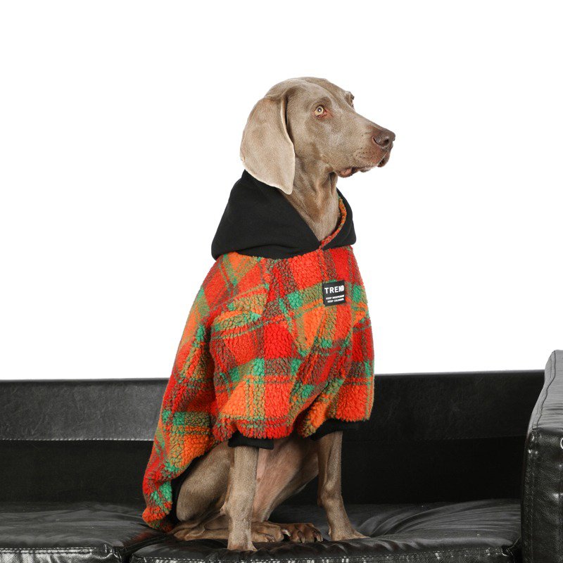 Warm Fleece Big Dog Hoodie