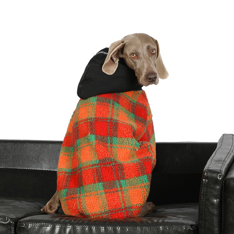 Warm Fleece Big Dog Hoodie