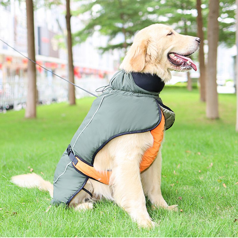 Waterproof Big Dog Outdoor Jacket