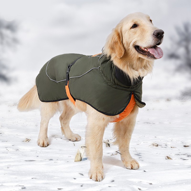 Waterproof Big Dog Outdoor Jacket