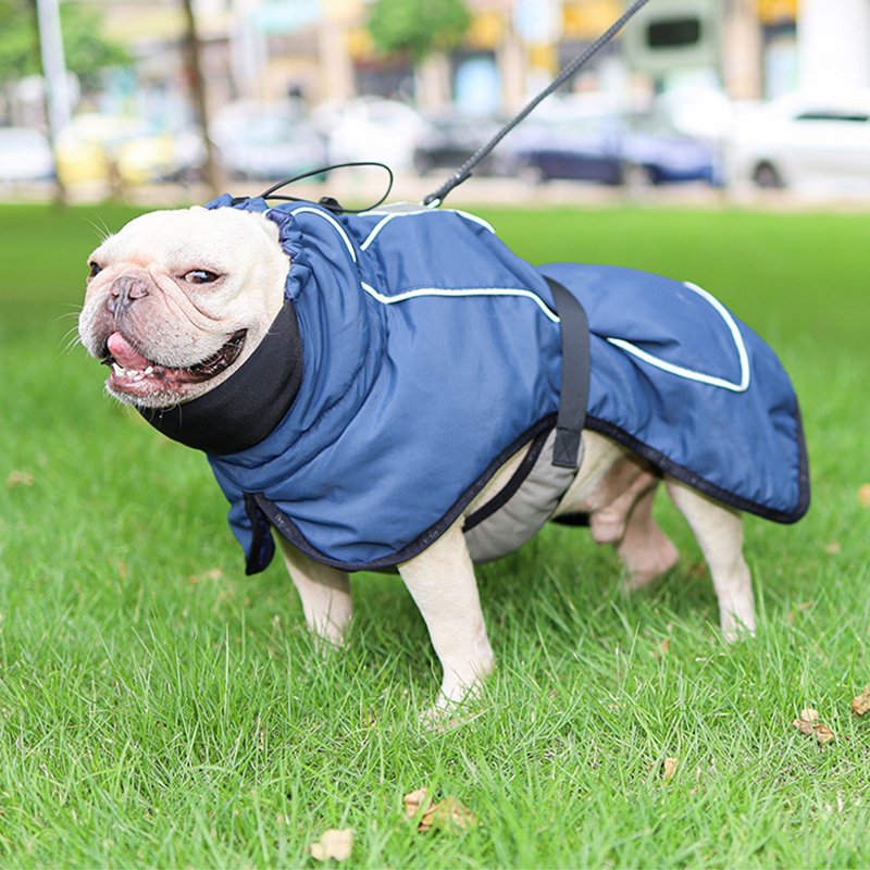 Waterproof Big Dog Outdoor Jacket
