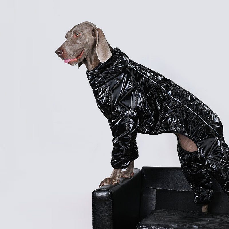 Waterproof Reflective Big Dog Jacket
