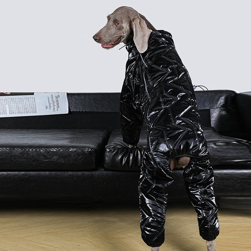 Waterproof Reflective Big Dog Jacket